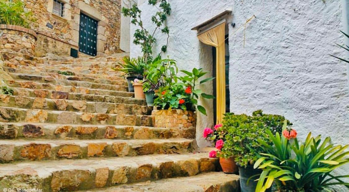 Apartamento Tossa De Mar Ngoại thất bức ảnh