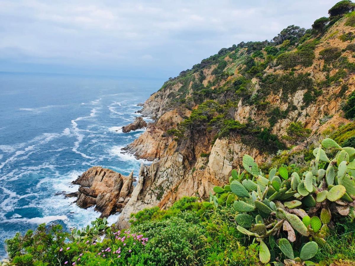 Apartamento Tossa De Mar Ngoại thất bức ảnh