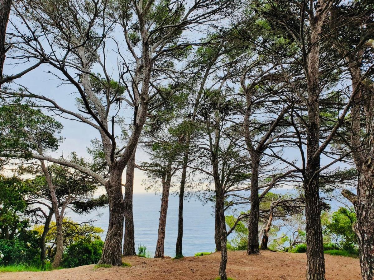 Apartamento Tossa De Mar Ngoại thất bức ảnh